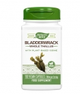 Bladderwrack with iodine / 100 Vcaps