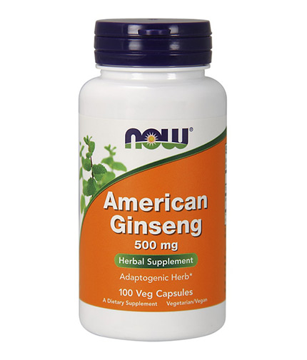 NOW American Ginseng /5% Ginsenosides/ 500mg. / 100 Caps.