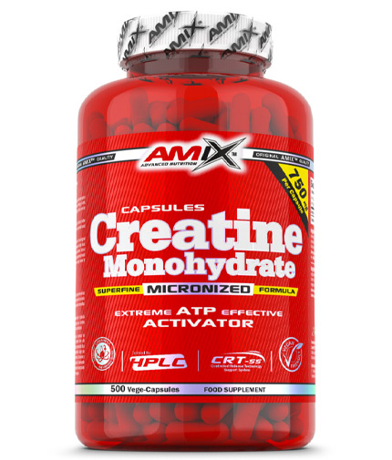 AMIX Creatine Monohydrate / 500 Caps 0.300