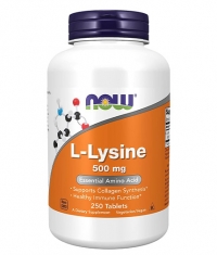 NOW L-Lysine 500 mg / 250 Tabs