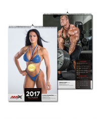 AMIX Calendar 2017