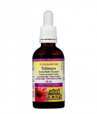 NATURAL FACTORS Echinamide Echinacea Fresh herb Tincture 50ml.