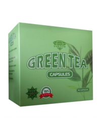 CVETITA HERBAL Green Tea / 90 Caps.