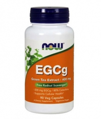 NOW EGCg Green Tea Extract 400mg. /  90 VCaps.