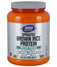 NOW Sprouted Brown Rice Protein