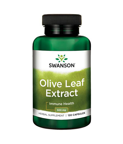 SWANSON Olive Leaf Extract 500mg. / 120 Caps