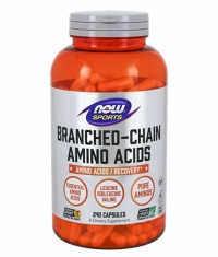 NOW Branched Chain Amino Acid /***/ 240 Caps.