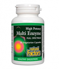 NATURAL FACTORS High Potency Multi Enzyme / 60 Vcaps