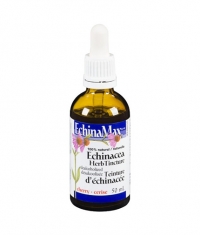 WEBBER NATURALS Echinacea Herb Tincture Dealcoholized 1000mg. / 50ml