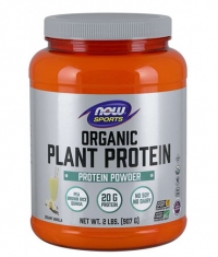 NOW Organic Plant Protein