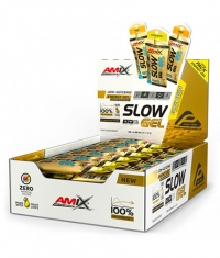 AMIX SLOW Palatinose Gel Box / 40 x 45 g