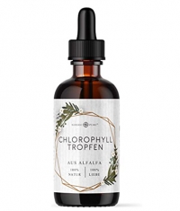 NATURES WAY Chlorophyll Tropfen Aus Alfalfa / 100 ml