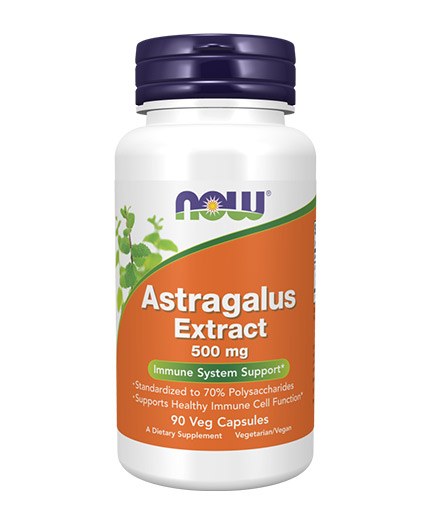 NOW Astragalus Extract 500 mg / 90 Vcaps
