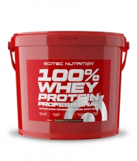 HOT PROMO 100% Whey Protein Professional