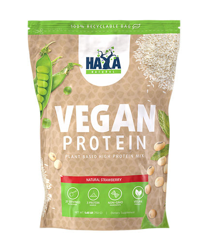 HAYA LABS Vegan Protein 0.750