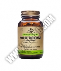 SOLGAR Horse Chestnut Seed Extract, S.F.P. 60 Caps.